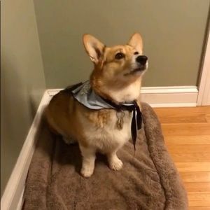 Meet your Posher, Michele